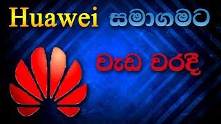 Huawei company failed to work explain in sinhala | Dew Tech LK