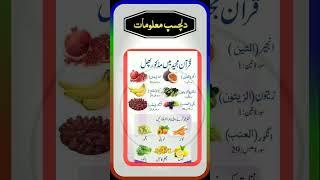 Quraan Majeed men mazkor fhal|#quran #quranrecitation #quotes #islam #islamicvideo #shortvedio #