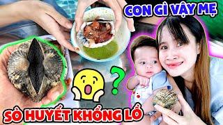 Mukbang Sò Huyết Khổng Lồ Cùng ZINO - Vê Vê Channel