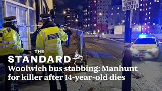 Manhunt for killer after boy, 14, stabbed to death on London bus