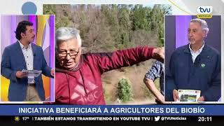 Investigador Infor por apoyo a agricultores: "Los estamos recuperando con sistemas agroforestales"