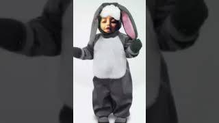 Fabiola the rabait
