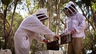 Better Beekeeping by Nuplas Apiarist Supplies