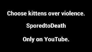 CHOOSE KITTENS OVER VIOLENCE: SporedtoDeath Ads