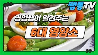 영양쌤이 알려주는 6대 영양소 알아보기