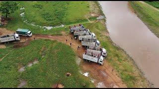 Seven Rescued Elephants Enjoy Their First Day Of Freedom - ElephantNews