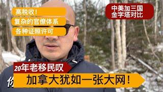 加拿大犹如一个牢笼，让人动弹不得，20年老移民感叹，对比中国、加拿大、美国金字塔