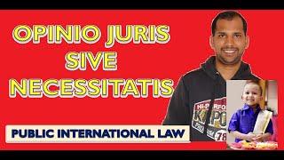 Opinio Juris Sive Necessitatis | Public International Law