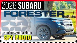 SPY SHOTS: 2026 Subaru Forester // Boxer HEV