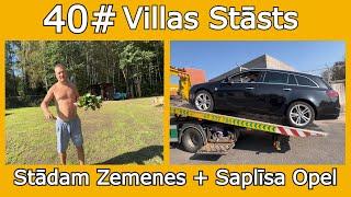 40# Stādam Zemenes - Saplīsa Opel | Villas Stāsts