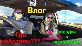 VLOG ● поездка в город!