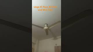 Llego El Pavo All Fans and Mini Fans