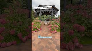 Как вам такие дорожки из брусчатки? #тротуарнаяплитка #брусчатка #дорожки #сад