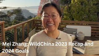 Mei Zhang's Insights on China Travel in 2023