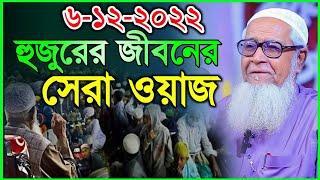 হুজুরের জীবনের সেরা ওয়াজ | Lutfur Rahman Waz 2022 | আল্লামা লুৎফর রহমান ওয়াজ ২০২২ | Holy Vision |