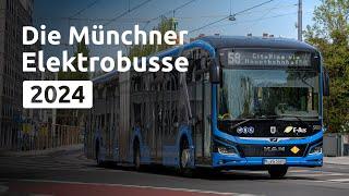 Die Münchner Elektrobusse bei der MVG 2024