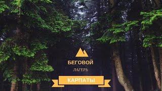 Беговой лагерь в Карпатах