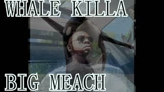 "WHALE KILLA" BIG MEACH