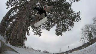 OA2 | Tree Jibbin