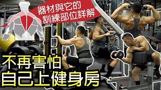 [Beginners' Guide] How to Use Gym Equipment (Covering Full Body!) │ Muscle Guy TW │2019ep51