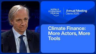 Climate Finance: More Actors, More Tools | World Economic Forum Annual Meeting 2025