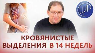 Кровянистые выделения в 14 недель беременности - опасно или нет? Отвечает доктор Гузов.