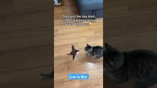 Interactive Flying Bird Cat Toy