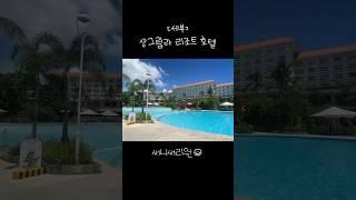세부 샹그릴라 리조트 호텔 앞 물고기 #세부 #샹그릴라 #스노클링 #브이로그 #shots #snokeling