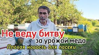 Допчеловодил! Не веду битву за урожай меда