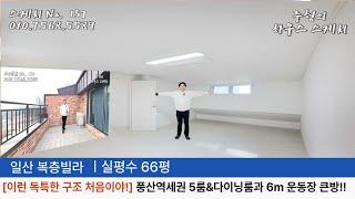 No.157 [이런 독특한 구조 처음이야] 풍산역세권 고급아파트 구조와 같은 긴 복도식고조와 다이닝룸 ‍‍‍대가족 살기 편한 5룸 6m운동장 큰방 풍동 일산복층빌라