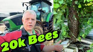 You Won’t BELIVE What Landed in This Garden! - Bee SWARM VS Farmer — Who Wins?