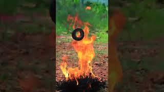 Burning Magnet Experiment | M4 Tech | #shorts