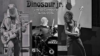 Dinosaur Jr. -  Full live @ Camaiore/ Prima Estate (14/6/2024)