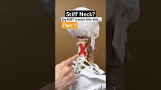 Part 1 of 2 - How to stretch a stiff neck on thanksgiving. #physicaltherapy #neckpainrelief