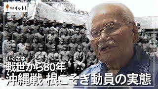 戦世から80年　沖縄戦　根こそぎ動員の実態（沖縄テレビ）2025/3/19