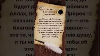 Хадис : Благочестие и греховное #islam #ислам #quran #хадис #хадисы #hadith #дуа #duasfromquran