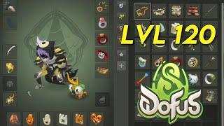 PVP lvl 120 sur DOFUS 3