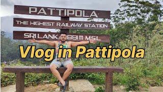 Vlog in Pattipola Sri Lanka | Naviya