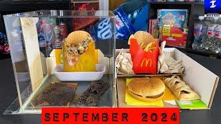 4+ Year Old McDonald’s Food! | McDonalds Jewel Box September 2024 Update