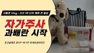 시험관 Vlog | 드디어 자가 주사 시작 | 신선 1차 , 과배란 주사, 과배란시작 , 난자 채취 전 일상 , 고날에프 , IVF-M HP , 세트로타이드