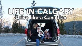 LIFE IN CALGARY: Drive like a Canadian