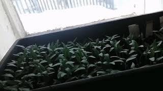 Готовимся к весне