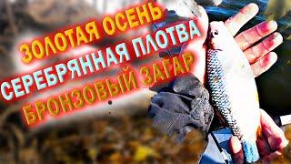 Крупная осенняя ПЛОТВА.  Часть 1.  Отводной поводок. /Ловля плотвы осенью.