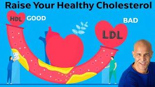 How to Raise Your Healthy Cholesterol (HDL's) to Clean Those Arteries | Dr. Mandell