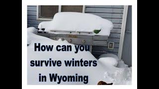 Surviving Winter in Wyoming