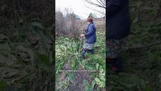 Хрен! Минутка смеха#shorts