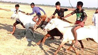 jalali duibhair raju duibhai raja ujan pakhi gurar dur। ঘোড়ার দৌড় প্রতিযোগিতা। horse race bd village