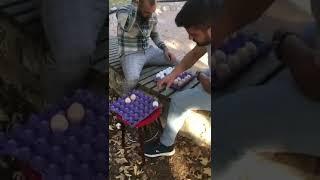 Игра "в яйца". Актуальна при нынешних ценах на яйца