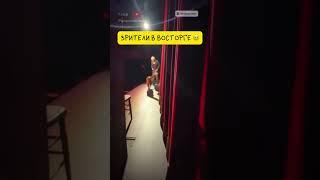 Dog's Debut at the Theatre 