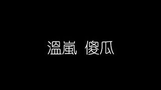 溫嵐   傻瓜 無損音樂FLAC 歌詞LYRICS 純享